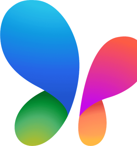 MSN